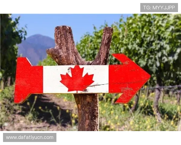 大发彩票大厅常见问题解答,帮助新手快速上手游戏流程 大发彩票大厅常见问题解答,帮助新手快速上手游戏流程