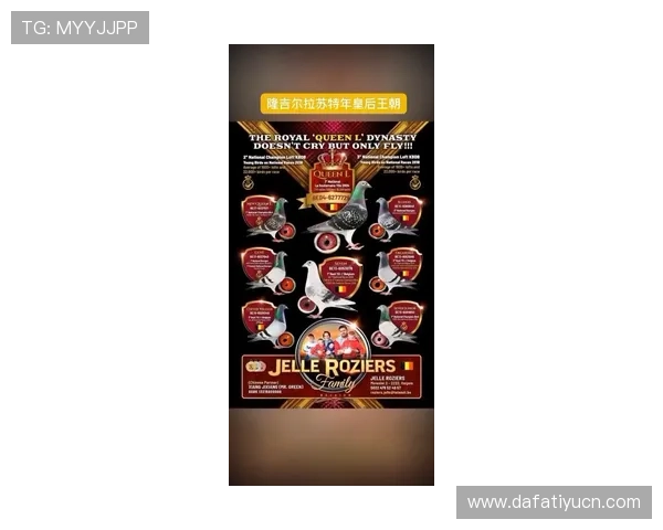 掌握AG国际手机官方地址的更新动态，第一时间获取官方访问入口