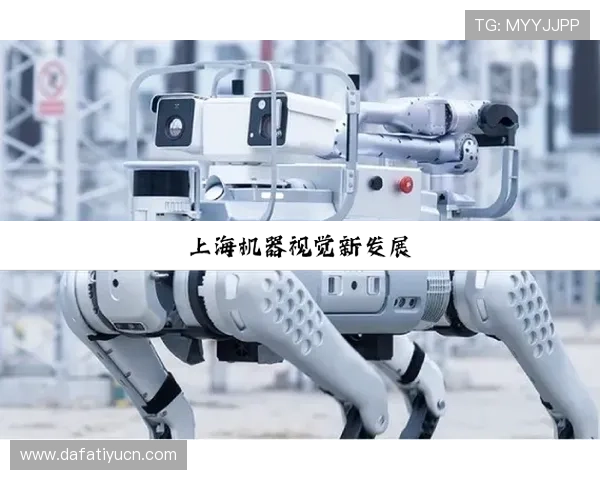 选择ag尊龙app官网的原因，用户真实评价与平台优势深度分析